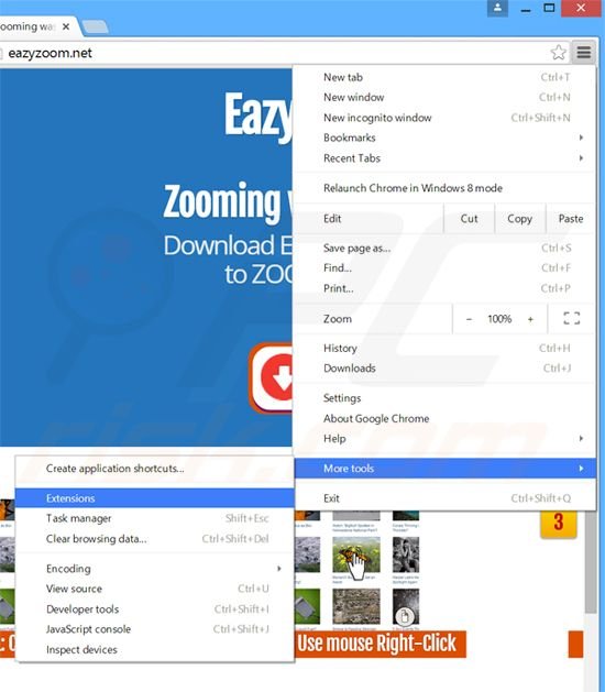 Removing Eazy Zoom  ads from Google Chrome step 1