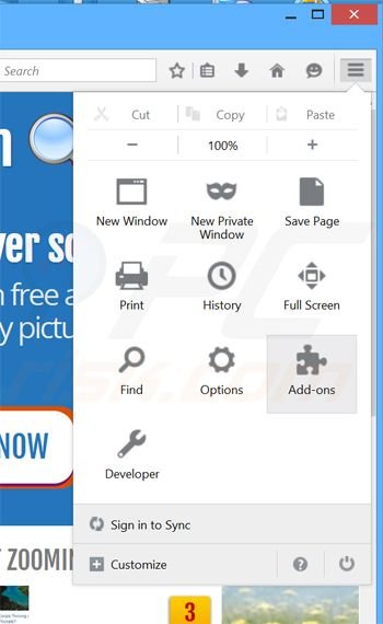 Removing Eazy Zoom ads from Mozilla Firefox step 1