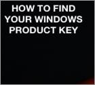 Jak znaleźć twoje klucze do systemu Windows lub pakietu Office?