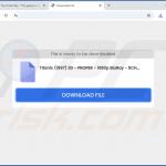 Strona internetowa wykorzystywana do promowania porywacza przeglądarki SearchNinja 3