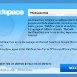 Instalator porywacza przeglądarki websearch.flyandsearch.info przykład 2 2