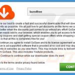 Zwodniczy bezpłatny instalator użyty w dystrybucji adware GoSavenow przykład 2