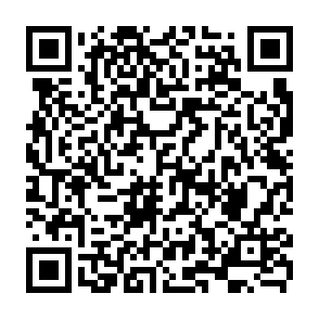 01Flip virus kod QR