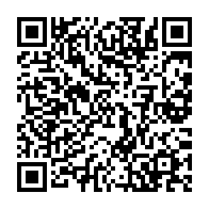 0apt Locker virus kod QR