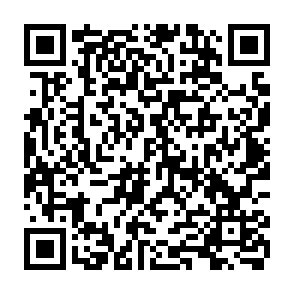 Wirus 888 (Dharma) kod QR