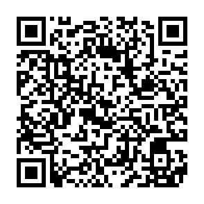 Asyl virus kod QR