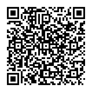 Porwacz przeglądarki Audio Search Pro kod QR