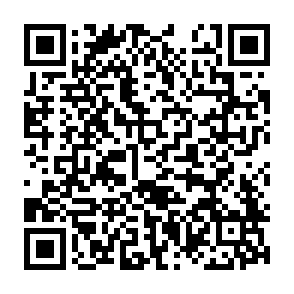 Bactor virus kod QR