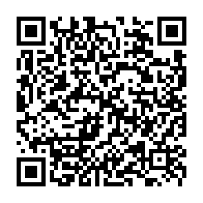 BambooToken backdoor kod QR