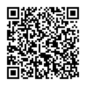 Bbq virus kod QR