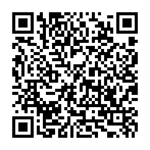 Benzona virus kod QR