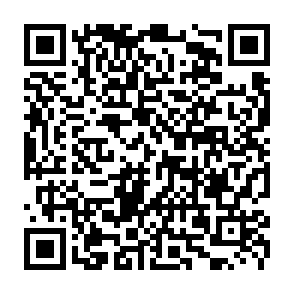 Reklamy betanero.co.in kod QR