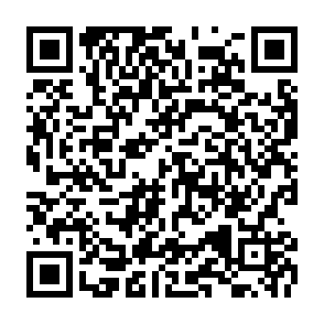$Bitcat Airdrop crypto drainer kod QR