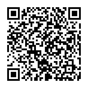 CastleLoader virus kod QR