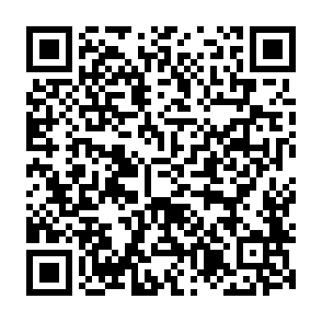 Cephalus virus kod QR