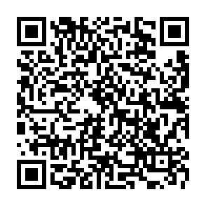 ChickenKiller virus kod QR