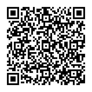 Chip virus kod QR
