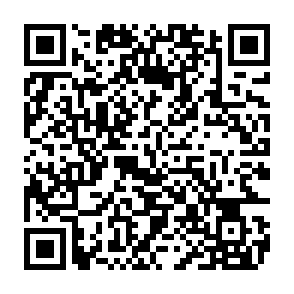 wirus CrashStealer kod QR