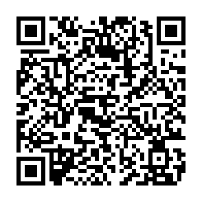 Dante kradzież kod QR