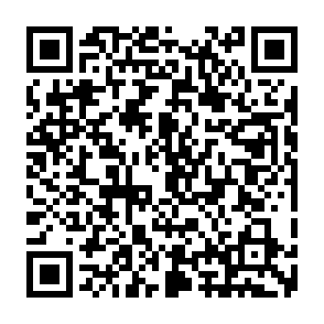 DeerStealer program kradnący informacje kod QR