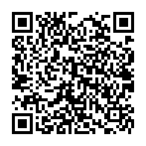 wirus Developer kod QR