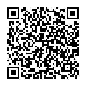 DEVMAN 21 virus kod QR