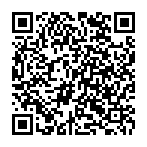 Reklamy autorstwa digitalmeshweb.co.in kod QR