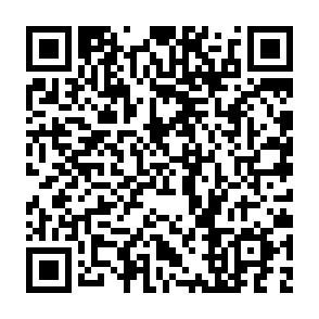 Dolphin X trojan zdalnego dostępu kod QR