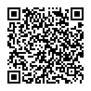 Easy Search porywacz przeglądarki kod QR