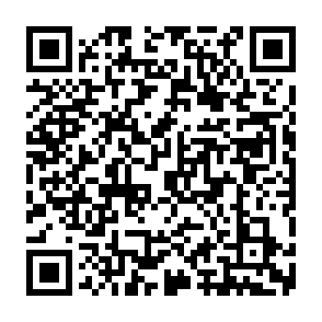 Reklamy ellinfituns.com kod QR