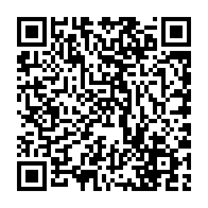 Evolution information stealer kod QR