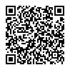 wirus Face Melter kod QR