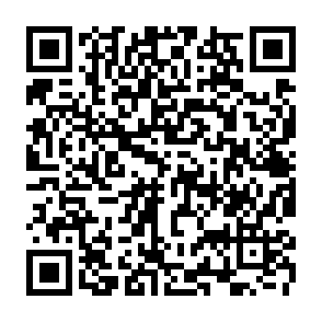 Fake Xeno script executor kod QR