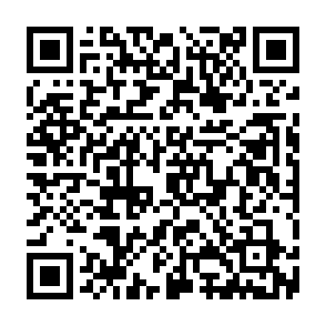 Reklamy folacines.com kod QR