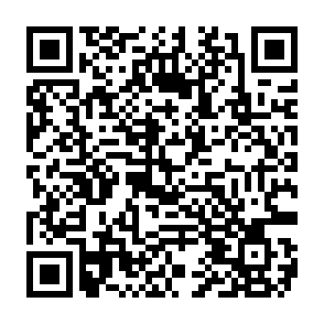 Fałszywa strona internetowa Grass Airdrop kod QR