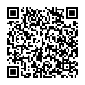 Grass Vote Rewards crypto drainer kod QR
