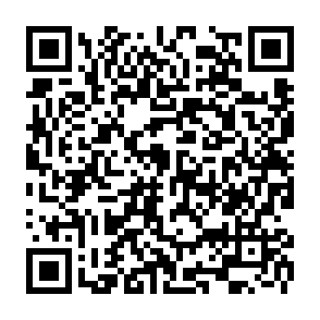 Hitler virus kod QR