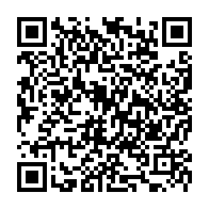 homefindhub.com porywacz przeglądarki kod QR