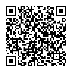 Hommy virus kod QR