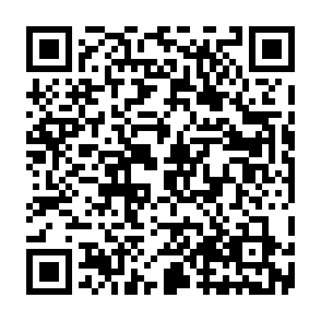 Hudson virus kod QR