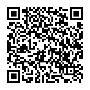 IdontCareLOck virus kod QR