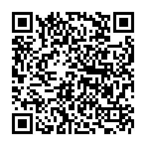 Infiniti information stealer kod QR