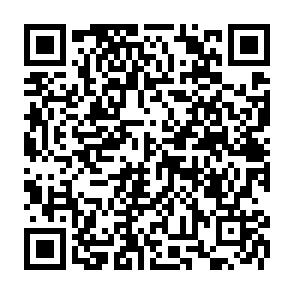 wirus KarryTech kod QR