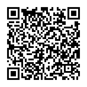 wirus KIMO kod QR