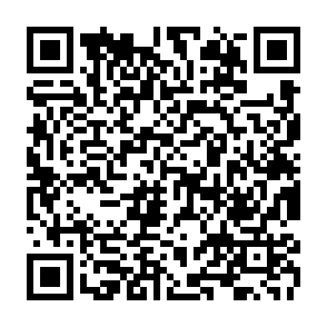 Kora virus kod QR