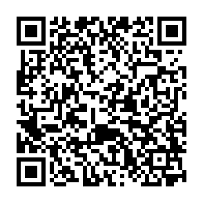 KREMLIN virus kod QR