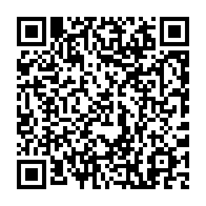 Wirus Lalia kod QR