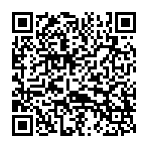 Reklamy license-check-av.site kod QR