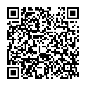 LofyStealer złodziej informacji kod QR