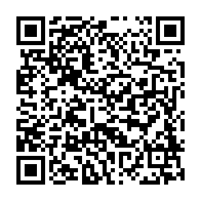 Lunex stealer danych kod QR